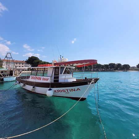 Ferienwohnung Mit Pool Kroatien Mit Meerblick Und Pool ロヴラン エクステリア 写真