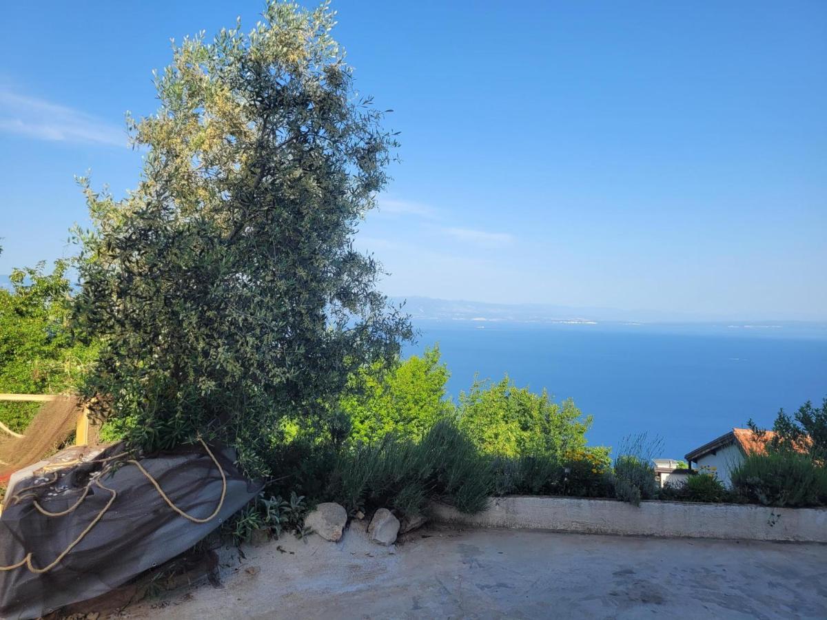 Ferienwohnung Mit Pool Kroatien Mit Meerblick Und Pool ロヴラン エクステリア 写真